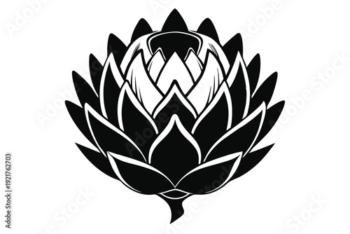 protea silhouette line art vector illustration