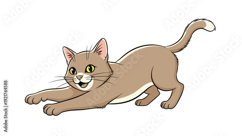 Playful brown and white cat stretches its front legs forward while looking happy with its mouth open on a white background.