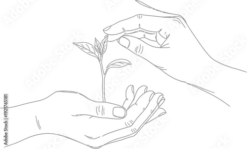 Delicate line art illustration depicts two pairs of hands gently cupping and nurturing a fragile, newly sprouted seedling against a stark white background emphasizing conservation and growth.