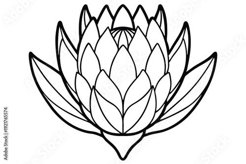 protea silhouette line art vector illustration