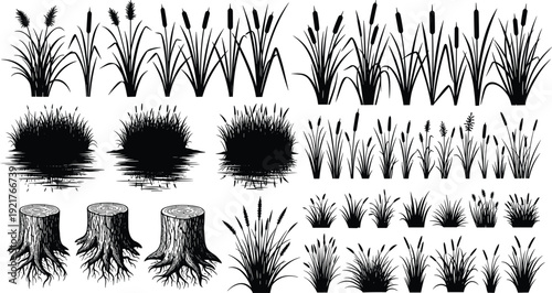 Set of realistic marsh grass and reed silhouettes featuring cattails water plants and tree stumps for wetland landscape nature design
