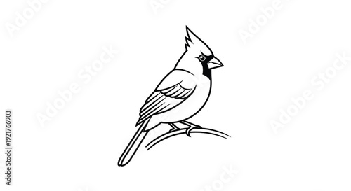 Cardinal bird icon with black outline on white background, perched on branch, simple design, vector illustration, wildlife symbol featuring animal, nature, birdwatching with ornithology and fauna