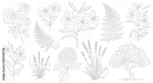 Elegant collection of detailed botanical line art illustrations featuring roses lilies ferns lavender hydrangea and a stylized decorative tree for various design applications