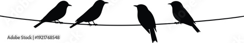 Vector, Illustration, Set, of, Birds, Sitting, on, Wire, for, Nature, Wildlife, Identity, Branding, Peace, Freedom, and, Professional, Graphic, Design, Projects, Collection, Silhouette