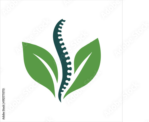 A stylized dark green spine logo with two vibrant green leaves on a clean white background