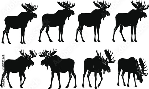 Black Moose Silhouettes Set Featuring Majestic Wild Elk Profiles and Bull Moose Poses for Wildlife Conservation Hunting Graphics Nature Illustration and Northern Wilderness Design Projects