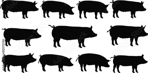 Black Pig Silhouettes Set Featuring Various Farm Animal Profiles Hog Vector Icons Collection for Agriculture Livestock Farming Meat Industry and Rural Countryside Graphic Design