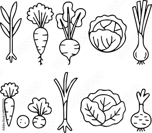 vegetable coloring page carrot beet cabbage radish scallion turnip