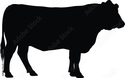 Black cow silhouette standing in side view isolated on white background farm animal livestock vector illustration for agriculture design use