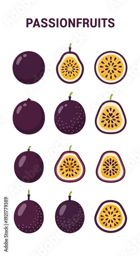 Four rows of illustrations showing whole halved and crosssectioned purple passionfruits