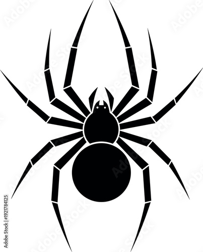 Detailed Black Spider Silhouette with Spread Legs Isolated on White Background Halloween Vector Illustration