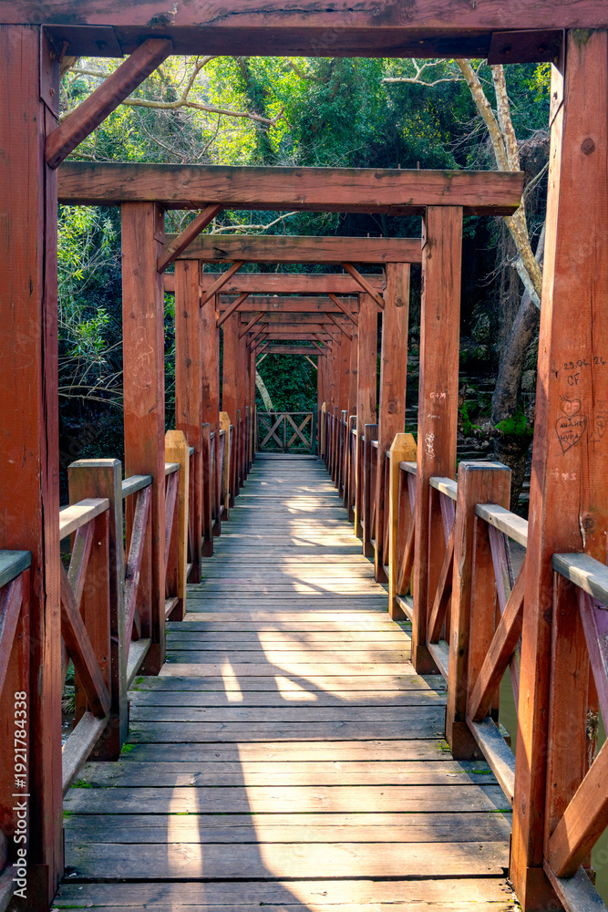 Obraz premium Old wooden bridge in the nature. Landscapes Nature Outdoors Beautiful On Location. Wooden bridge background. A beautiful view of a wooden bridge in the forest