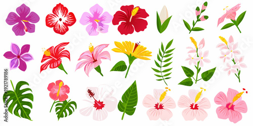 Collection of vibrant tropical hibiscus flowers and lush green leaves