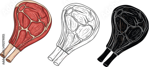 Raw chicken drumstick illustration set in colored, outline, and black styles isolated for food design, butcher shop, cooking, and meat concepts