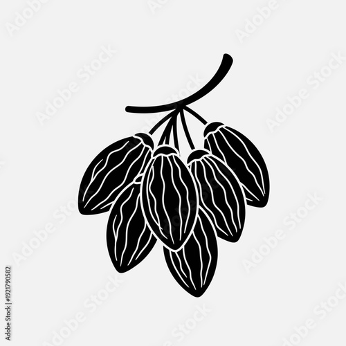 Cocoa Bean Pod Vector Illustration – Hand Drawn Chocolate Cacao Plant Line Art Icon