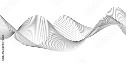 Fluid Grey Curved Sound Waves on Clean White Background Abstract Monochrome Geometric Motion Pattern in Minimalist Grayscale Vector Style