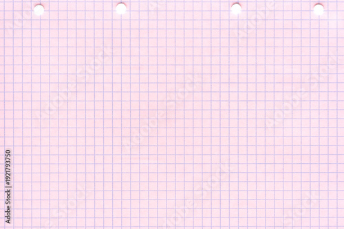 Pastel pink graph paper with perforations for school and office use.