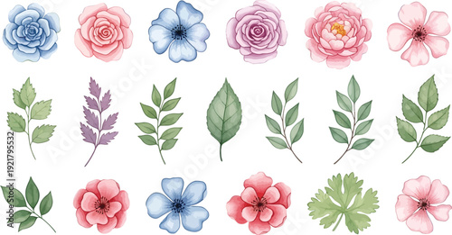 Beautiful watercolor floral and leaf elements collection, featuring various flowers and foliage, isolated on a clean white background, perfect for design.