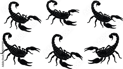 Scorpion silhouettes collection, black scorpion vector clipart, dangerous insect icons, predator scorpion graphics, high detail scorpion poses