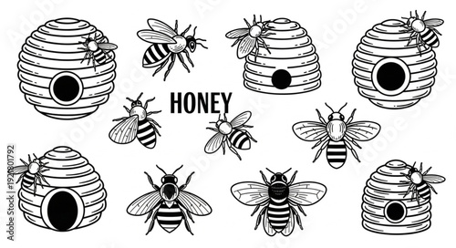 Collection of hand drawn bees and beehives with the word honey.