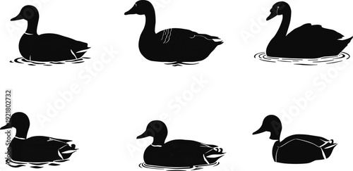 A collection of detailed black and white silhouettes of ducks and swans swimming gracefully on the water, ideal for wildlife and nature themes
