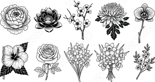 Floral vector sketch set, black white botanical hand drawn outline collection, rose lotus hibiscus daffodil spring flowers graphic design elements