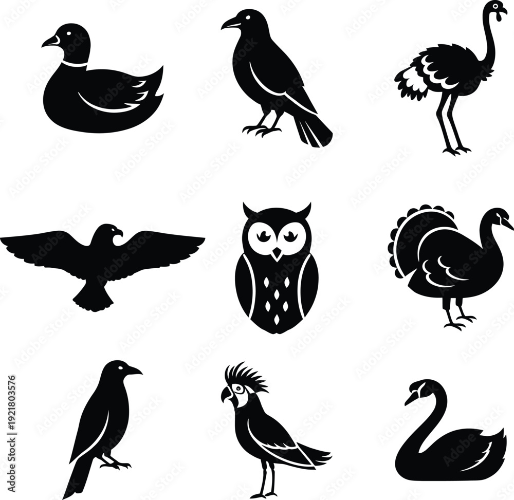 Obraz premium a set of black silhouettes of various birds on white background