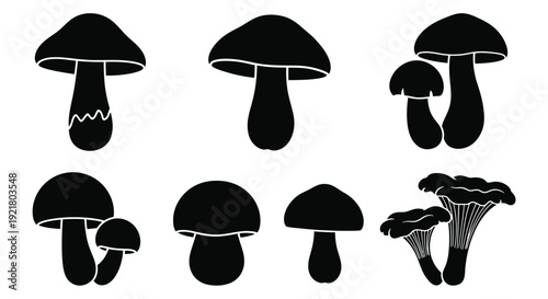 Black silhouettes of various mushroom species arranged on a white background