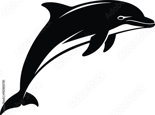 Black dolphin jumping out of water white background silhouette