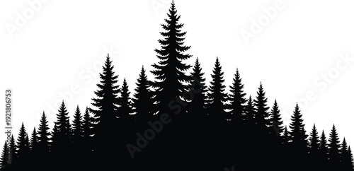 Black silhouette of pine trees on white background tree silhouettes forest black and white evergreen trees