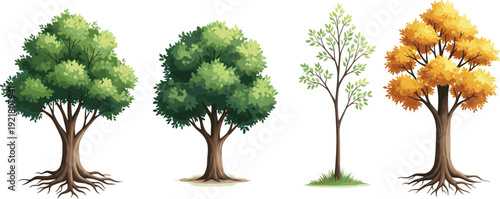 Set of cartoon deciduous trees with seasonal variations, including green and autumn foliage, and a young sapling on white background.