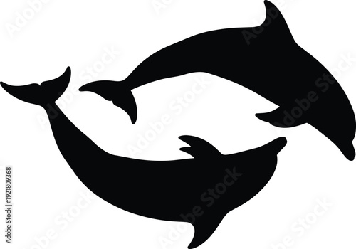 Black silhouettes of two dolphins swimming