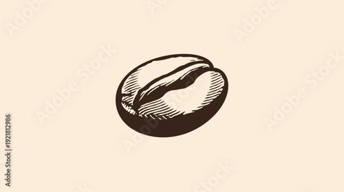 Vintage hand-drawn coffee bean illustration in an engraved style, perfect for coffee shop designs and beverage concepts