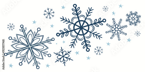 A beautiful collection of various snowflakes in different shapes and sizes