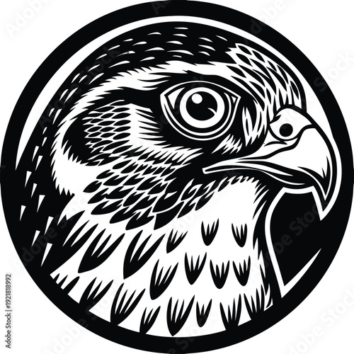 Gemini said

A professional photographer captures a breathtaking high-resolution landscape using a modern mirrorless camera during the golden hour to produce premium stock photography for creative dig