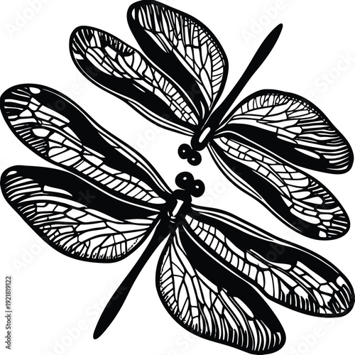 Gemini said

A professional photographer captures a breathtaking high-resolution landscape using a modern mirrorless camera during the golden hour to produce premium stock photography for creative dig