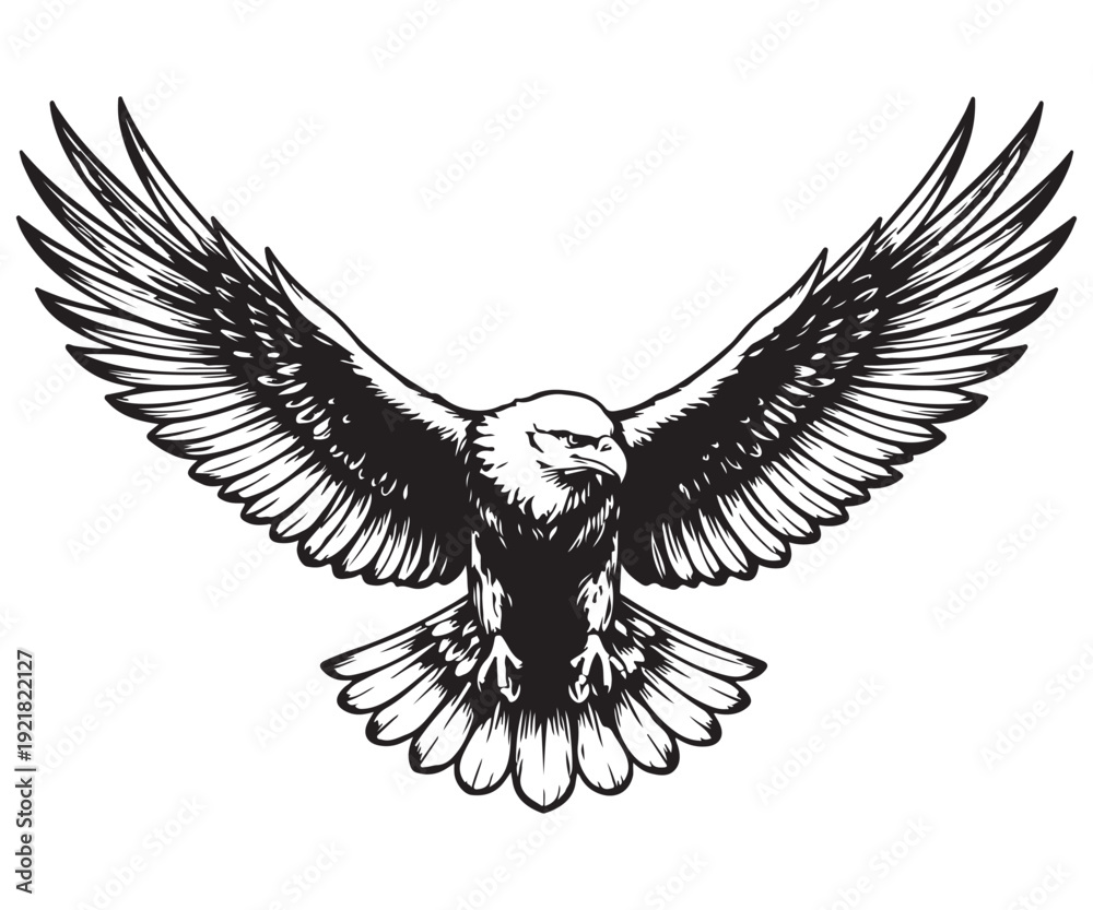 Obraz premium Majestic Bald Eagle in Flight – Detailed Line Art Illustration
