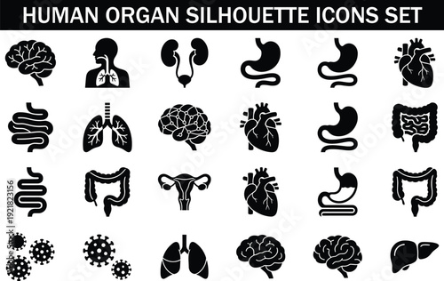 Human organ silhouette icons set, medical anatomy vector collection, brain heart lungs stomach intestine symbols, healthcare biology illustration, black solid editable infographic elements isolated