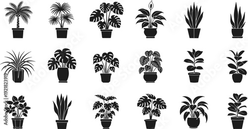 Indoor plant silhouettes collection potted houseplants tropical foliage decorative home decor isolated on white background botanical element set