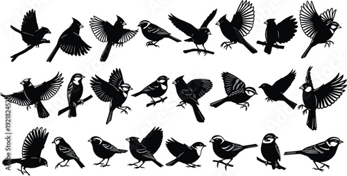 Small bird silhouette collection with flying perched and landing poses isolated vector illustration set of wild passerine species