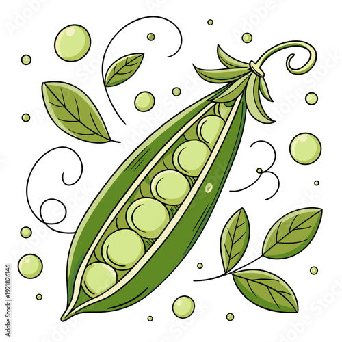 A green pea pod with leaves and tendrils Vector