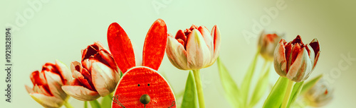 Frohe Ostern, Dekoration mit Osterhase und Tulpen Banner