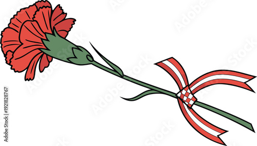 Red carnation with green stem and Croatia flag ribbon Victory Day fascism memorial symbol