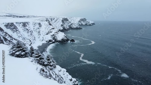 Wallpaper Mural Snow-covered cliffs along a rugged coastline with dark ocean waves and snowflakes falling, showcasing the serene winter landscape in a remote coastal region Torontodigital.ca