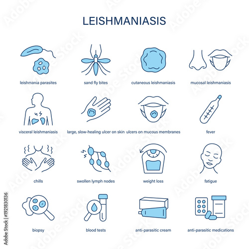 Leishmaniasis symptoms, diagnostic and treatment vector icon set
