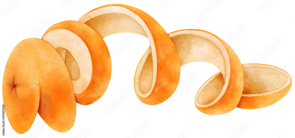 Fototapeta premium tangerine peel watercolor