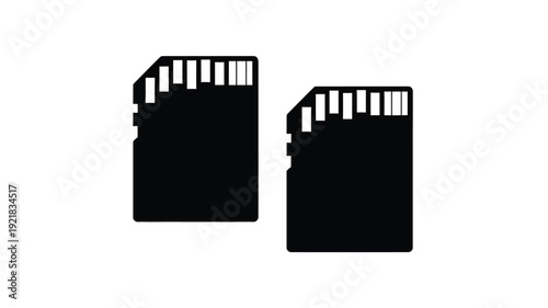 Two black sd cards displayed against a white background silhouette