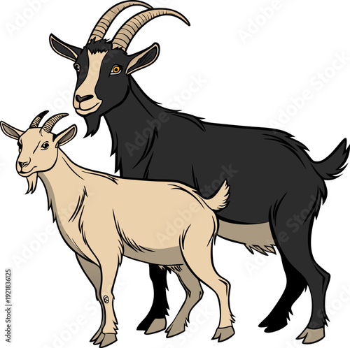 Two goats, one black and one light brown, are positioned together in a studio setting. The black goat is larger and slightly behind the brown goat, which is positioned slightly in front of it. Both go