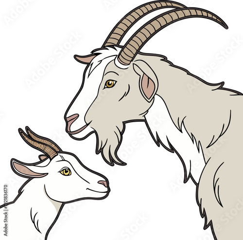Two goats, one black and one light brown, are positioned together in a studio setting. The black goat is larger and slightly behind the brown goat, which is positioned slightly in front of it. Both go