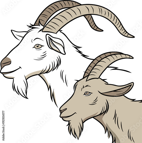 Two goats, one black and one light brown, are positioned together in a studio setting. The black goat is larger and slightly behind the brown goat, which is positioned slightly in front of it. Both go